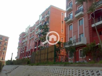 شقة 2 غرفة نوم للايجار في الشيخ زايد، الجيزة - 17ccc23d-0ff7-433c-abda-36e21a352c49. jpeg