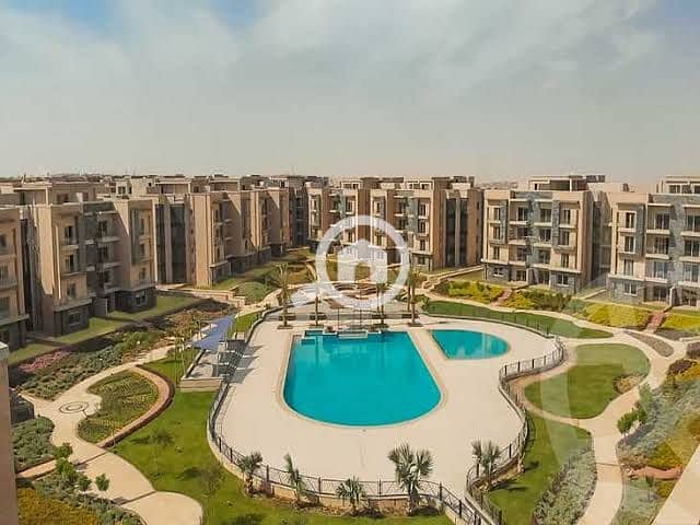 10 دد. jpg