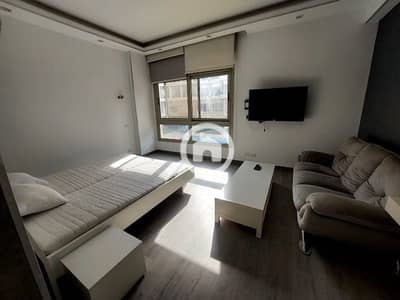 Studio for Rent in Maadi, Cairo - استديو مفروش في سرايات المعادي الفيو علي حمام سباحه يوجد جيم