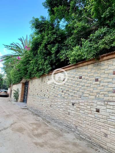 6 Bedroom Villa for Sale in Agami, Alexandria - فيلا للبيع 750م بالإسكندرية البيطاش شهر العسل شارع مسجد السلام