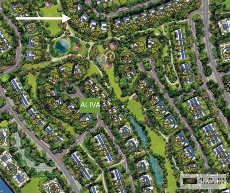 7 Location. jpg