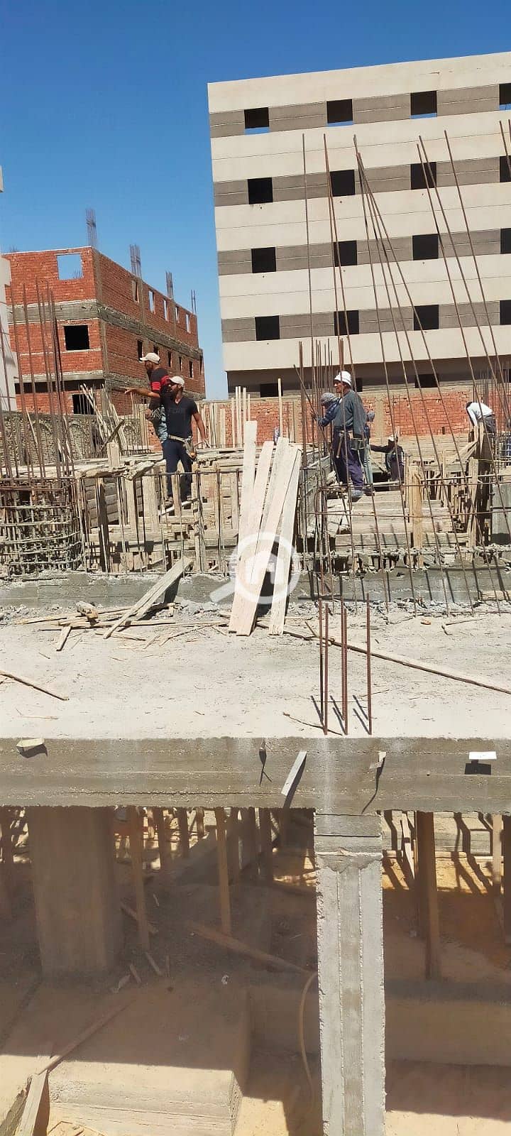 6 WhatsApp Image 2025-03-22 at 12.44. 31 PM. jpeg