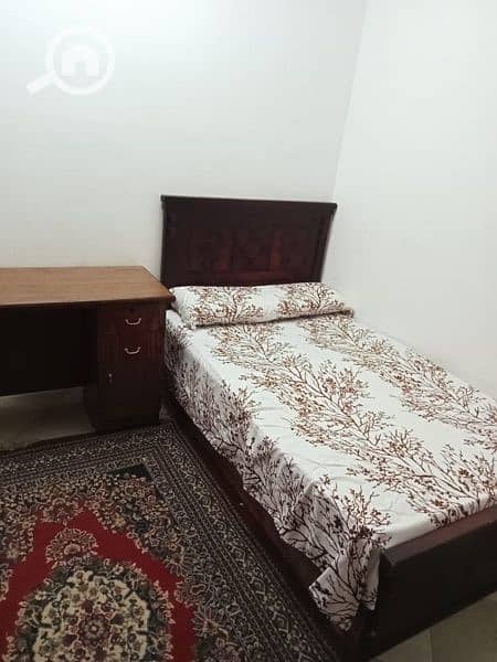 شقة مفروشة حي آول تاني عمارةمن المحور من المالك امام الجامعة شقة مفروشة حي آول تاني عمارةمن المحور من المالك امام الجامعة