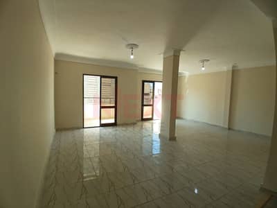 3 Bedroom Apartment for Sale in Miami, Alexandria - 01. jpeg