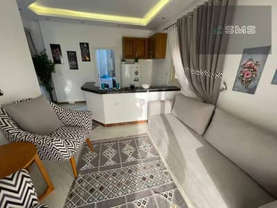 Studio for Rent in New Cairo, Cairo - WhatsApp Image 2025-08-18 at 10.49. 40 AM. jpeg
