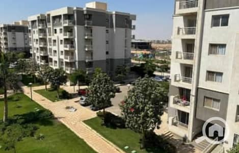 2 Bedroom Apartment for Sale in Madinaty, Cairo - WhatsApp Image 2025-08-16 at 2.45. 41 PM. jpeg