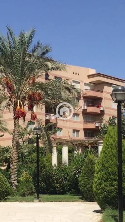 3 Bedroom Apartment for Sale in New Cairo, Cairo - a7f719ba-519b-4c21-bdad-5df91f300015. jpeg