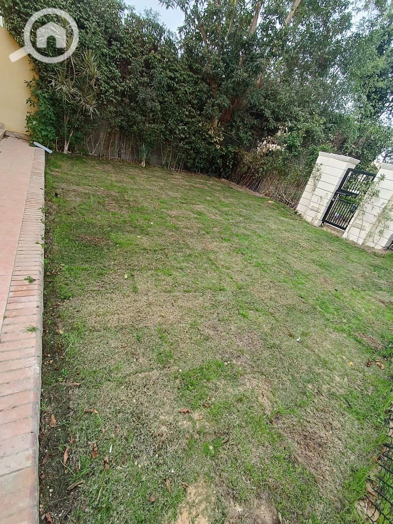 3 165. jpg