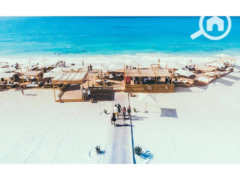 3 sea-shell-playa-2-800x492 (1). jpg