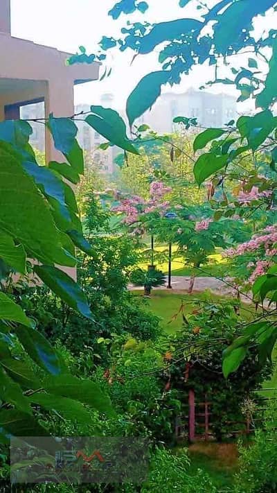 2 Bedroom Flat for Sale in Madinaty, Cairo - becf0ccf-6eaa-4a78-9ff6-36fff38ea19c. jpg