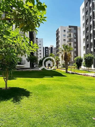 3 Bedroom Flat for Sale in New Cairo, Cairo - WhatsApp Image 2025-08-18 at 2.53. 15 PM (1). jpeg