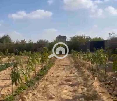 أرض سكنية  للبيع في 6 أكتوبر، الجيزة - 1000587462. jpg