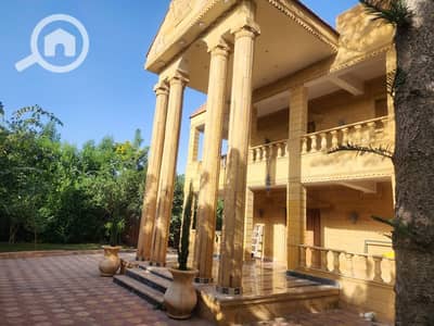 فیلا 7 غرف نوم للبيع في برج العرب، الإسكندرية - قصر للبيع بكنيج مرويط