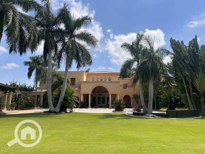 6 Bedroom Villa for Sale in King Mariout, Alexandria - قصر مسجلة ٦٠٠٠م رشيد محمد رشيد كنيج مرويط