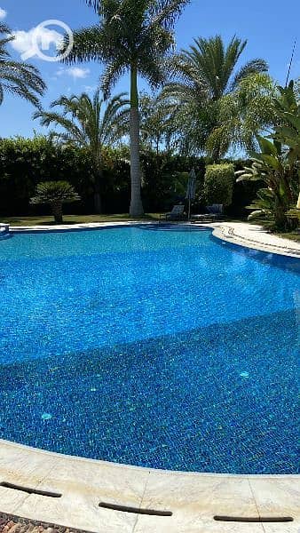 فيلا بحمام سباحة كبيره بكنيج مرويط لايجار فيلا بحمام سباحة كبيره بكنيج مرويط لايجار