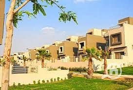 5 palm hills3. jpg