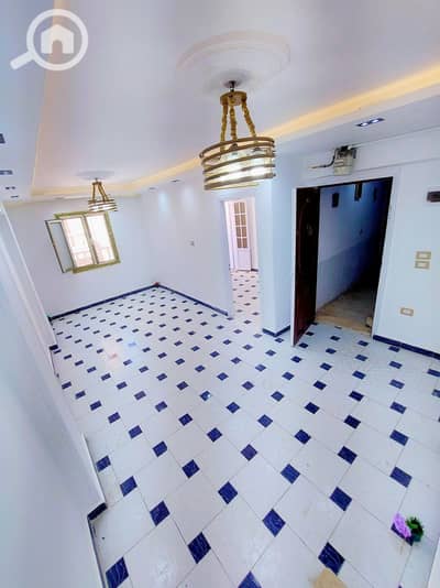 3 Bedroom Flat for Sale in Sidi Beshr, Alexandria - شقه للبيع مساحه ١١٠م مكونه من ٣ غرف وريسبشن قطعتين مودرن و حمام و مطبخ