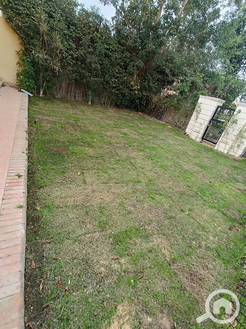 3 165. jpg
