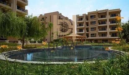 10 WhatsApp Image 2025-08-10 at 12.05. 12_8cdd5e61. jpg