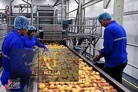 Factory for Rent in New Cairo, Cairo - images (14). jpg