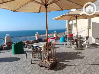 شقة فندقية 4 غرف نوم للايجار في المندرة، الإسكندرية - 1000782093. jpg