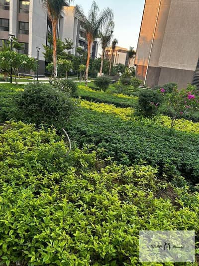2 Bedroom Apartment for Sale in Madinaty, Cairo - WhatsApp Image 2025-08-18 at 12.47. 50 PM. jpeg