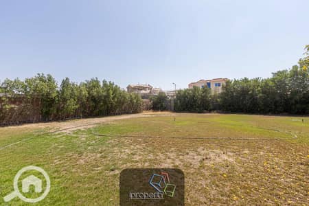Residential Land for Sale in King Mariout, Alexandria - 1S8A8674. jpg