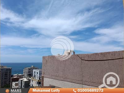 3 Bedroom Apartment for Sale in Roushdy, Alexandria - Artboard 6. png
