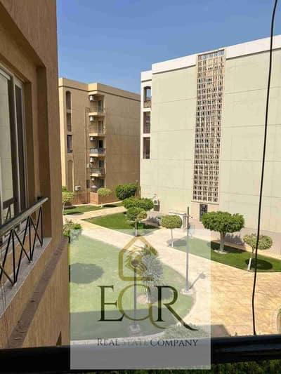 3 Bedroom Flat for Rent in New Cairo, Cairo - 1000473563. jpg