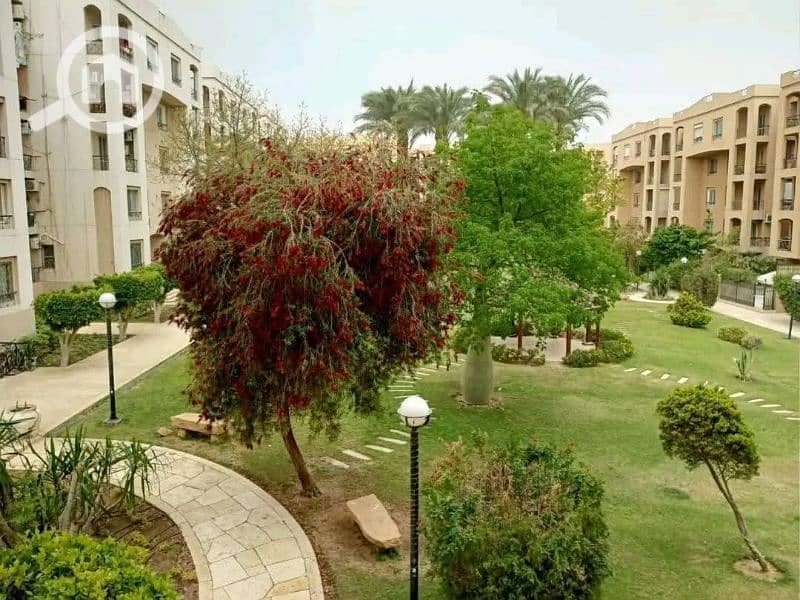 فرصه للبيع في الرحاب شقه 3نوم ارضي بحديقه بسعر لقطه كفيلا مصغرة فرصه للبيع في الرحاب شقه 3نوم ارضي بحديقه بسعر لقطه كفيلا مصغرة