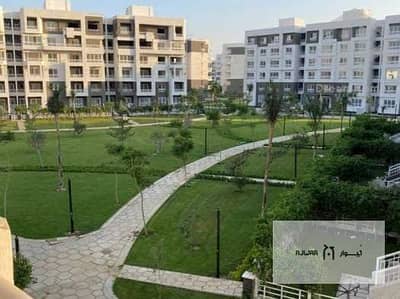 2 Bedroom Apartment for Sale in Madinaty, Cairo - WhatsApp Image 2025-05-24 at 11.25. 00 PM. jpeg
