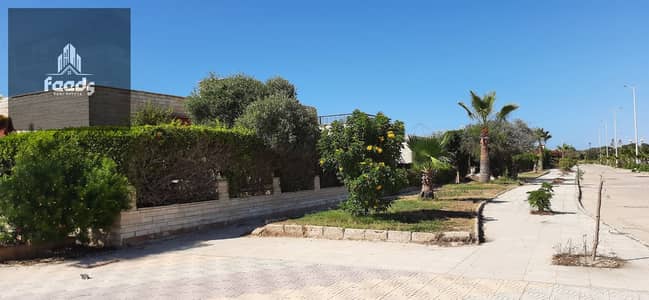 3 Bedroom Villa for Rent in North Coast, Matruh - WhatsApp Image 2025-07-23 at 8.07. 36 PM. jpeg