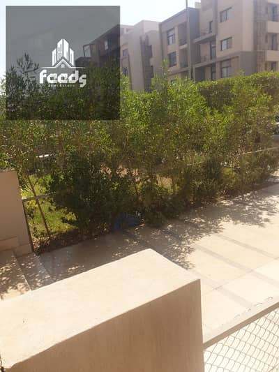 Room for Rent in New Cairo, Cairo - WhatsApp Image 2025-07-17 at 17.53. 46_ce7a9f8e. jpg