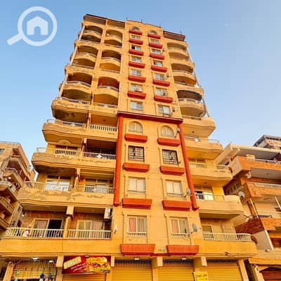 شقة 3 غرف نوم للبيع في النخيل، الإسكندرية - WhatsApp Image 2025-08-12 at 7.50. 01 PM. jpeg