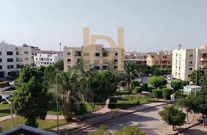 5 WhatsApp Image 2025-08-19 at 13.03. 43_a4708cc2. jpg