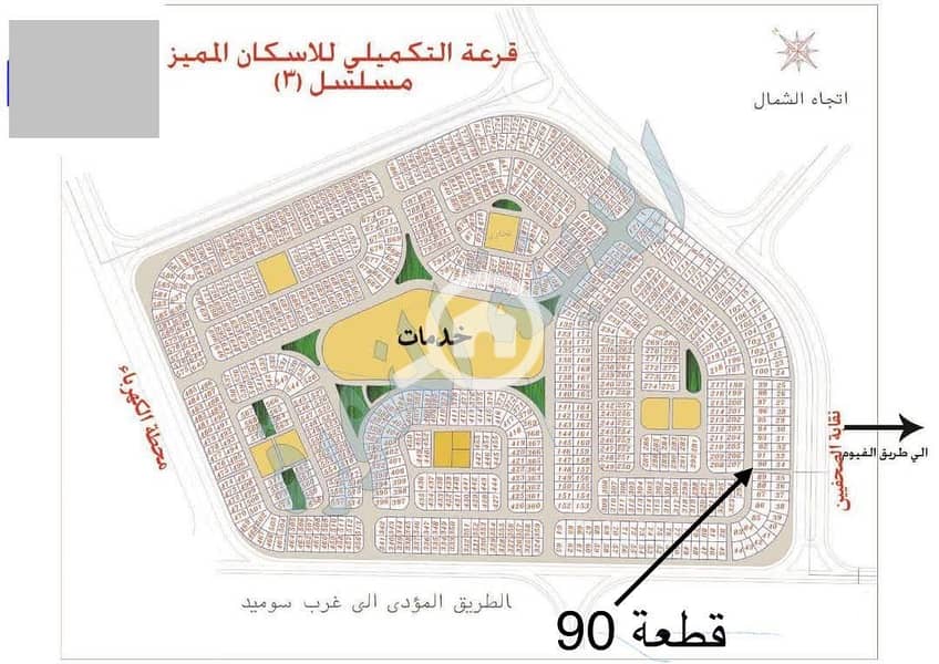 1000005344. jpg