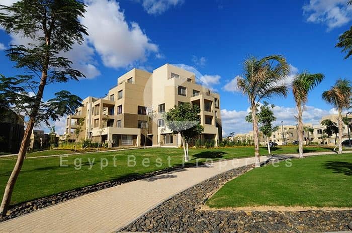 11 Properties-For-Sale-in-palm-parks. jpg