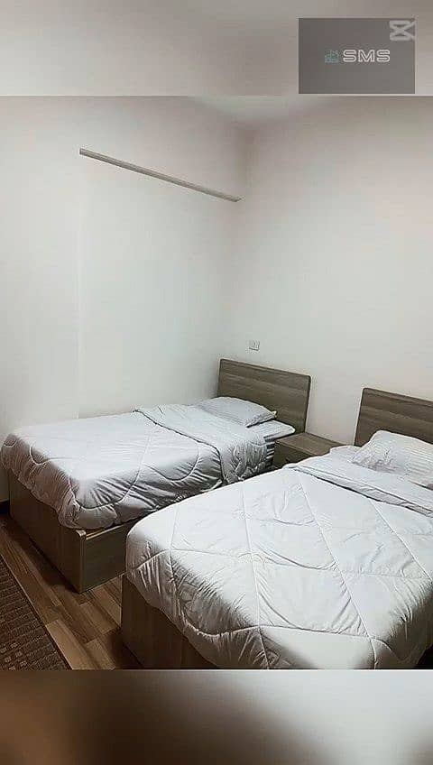 5 006. jpg