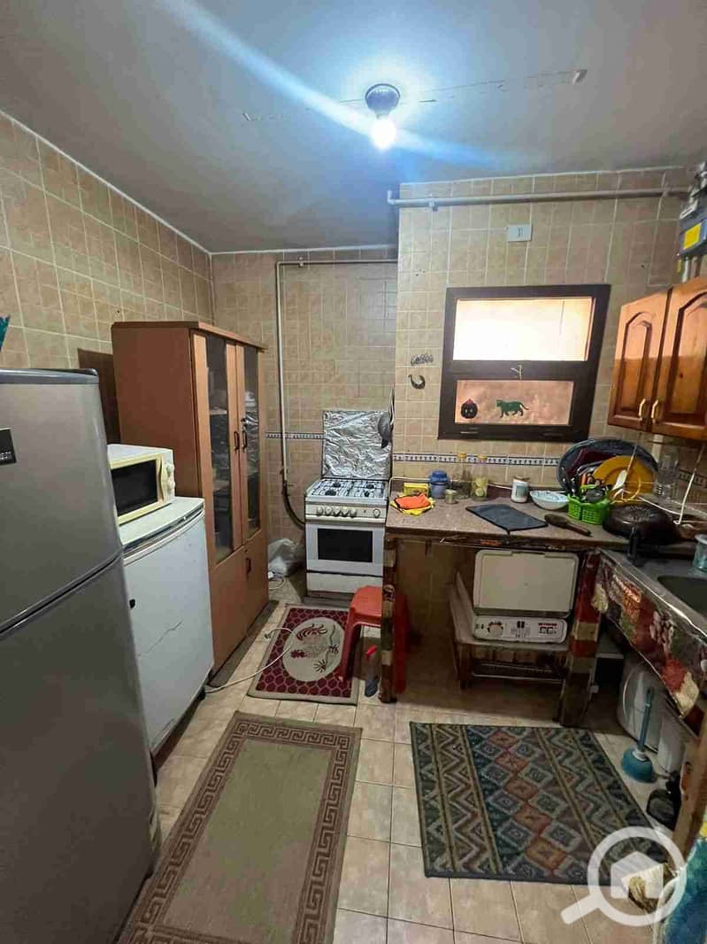 8 1001357331. jpg
