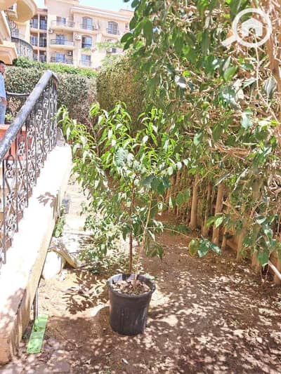 3 Bedroom Flat for Rent in New Cairo, Cairo - 4084c60c-3b96-4ae2-907c-122747937e3d. jpg