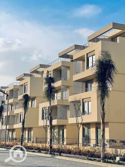 3 Bedroom Apartment for Sale in Amreya, Alexandria - photo_2025-01-22_18-12-54. jpg