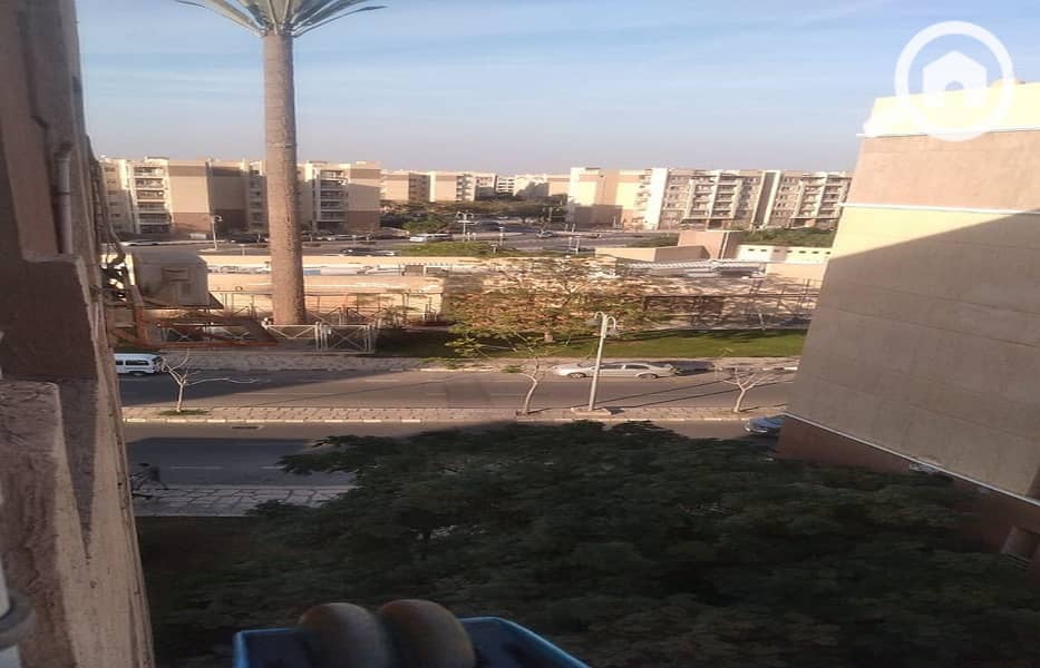 42 صورة واتساب بتاريخ 2024-12-09 في 15.46. 40_129a9680. jpg