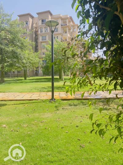 2 Bedroom Flat for Sale in Madinaty, Cairo - 4cfed905-934d-46ff-977e-85ccf2507919. jpeg