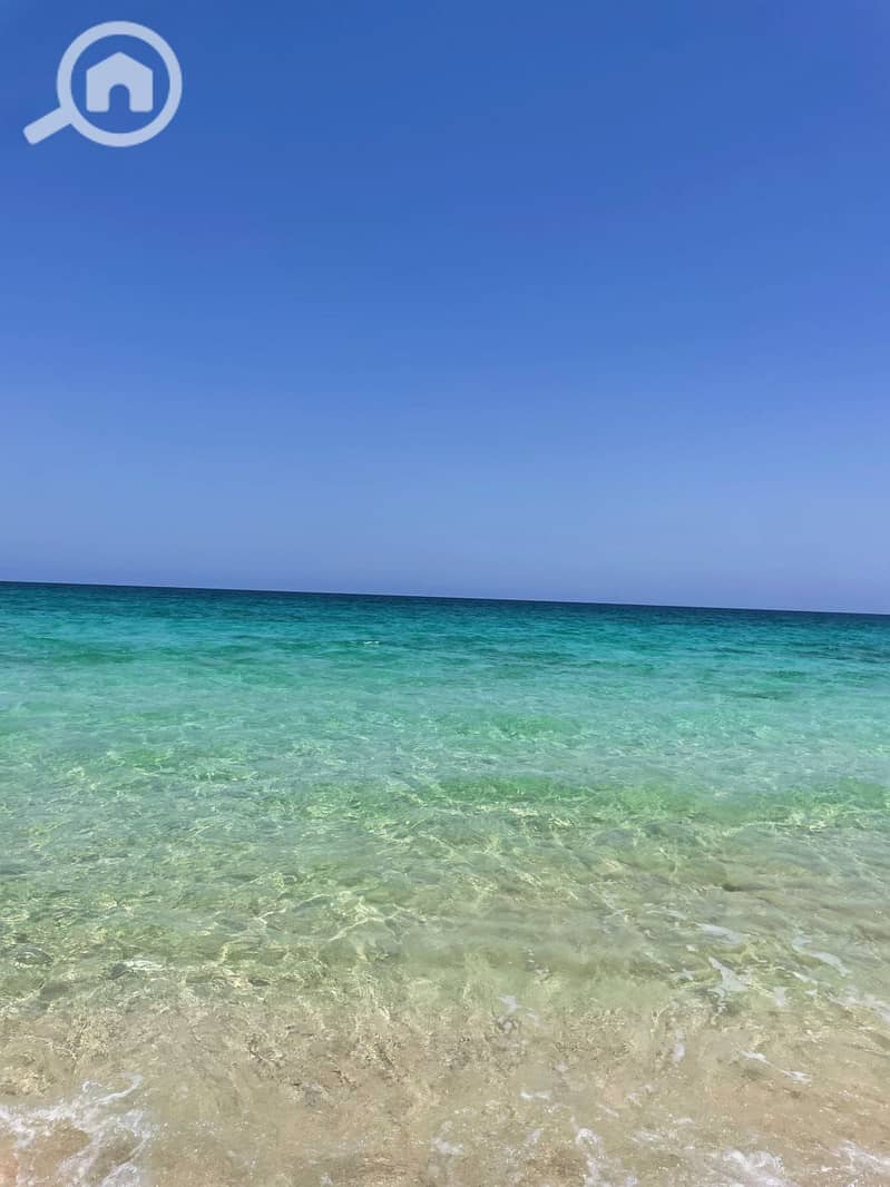 9 ab749c9e-696b-41bc-8c33-aee931c2b54f. jpeg