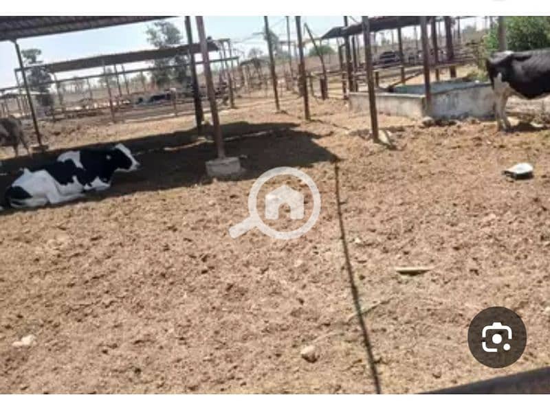 ارض قابله للتحويل لنشاط صناعي اومخازن بعد دفع رسوم الهيئه العاشر رمضان
