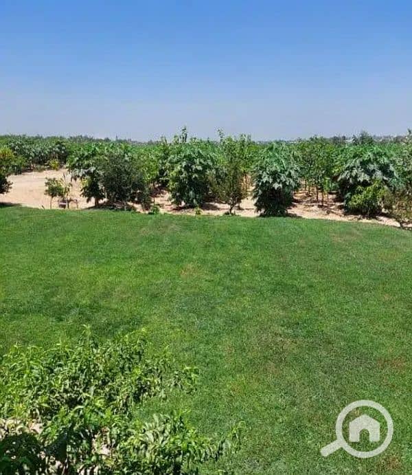 مزرعة للايجار بها ماء بحري ٥ فدان بهم استراحة عمال