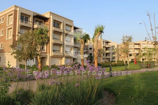 6 new-giza-600x400. jpg