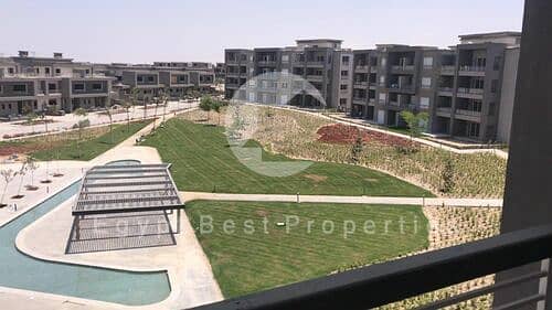 9 medium_WhatsApp_Image_2025-07-06_at_3.21. 42_PM__4__Mostafa_Saleh. jpeg