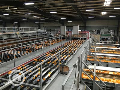 Factory for Rent in New Cairo, Cairo - 1000176905. jpg