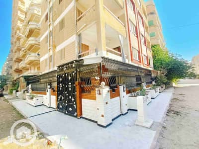 فلیٹ 2 غرفة نوم للبيع في النخيل، الإسكندرية - 1000299990. jpg
